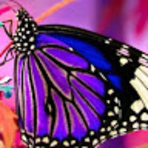 Meet your Posher, Candace